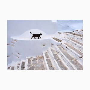 Tuul & Bruno Morandi, Grèce, Cyclades, Street Cat, Papier Photographique
