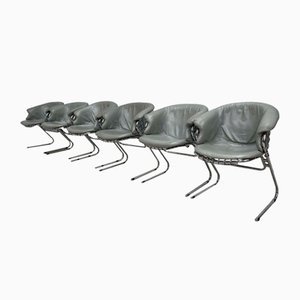 Flynn Chairs by Gastone Rinaldi, Set of 6