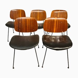 Chairs in Mahogany Wood and Sitting in Skii, 1960s, Set of 5