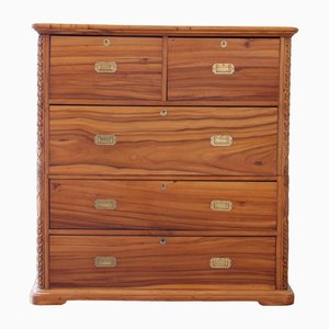 Antique Campaign Chest in Camphor Wood
