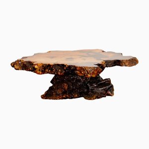 Coffee Table in Burled Root and Resin, 1960s