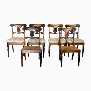 William IV Dining Chairs in Rosewood, 1835, Set of 6