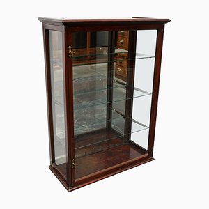Victorian Mahogany Museum or Shop Display Cabinet, Late 1800s