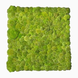 Dehydrated Plant Wall Stabilized Polemoss from VGnewtrend