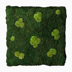 Flat Moss Stabilized Dehydrated Vegetable Wall with Pole Moss from VGnewtrend