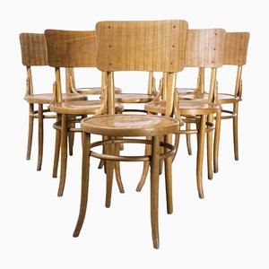 Bentwood Dining Chairs, Debrecen, 1950s, Set of 8