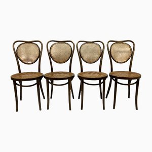 Mid-Century Dining Chairs in Bentwood and Cane, 1960s, Set of 4