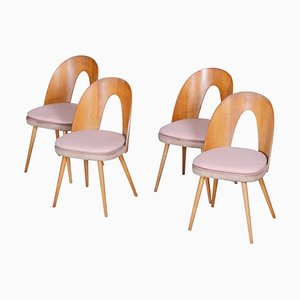 Mid-Century Modern Chairs by Antonín Šuman, Czechoslovakia, 1950s, Set of 4