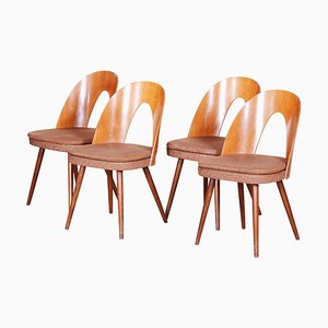 Mid-Century Modern Stühle von Antonín Šuman, Tschechoslowakei, 1950er, 4er Set