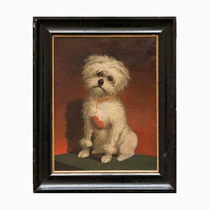 El perro, óleo sobre lienzo original, finales del siglo XIX