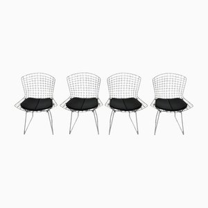 Vintage Side Chairs in Chrome by Harry Bertoia, Set of 4