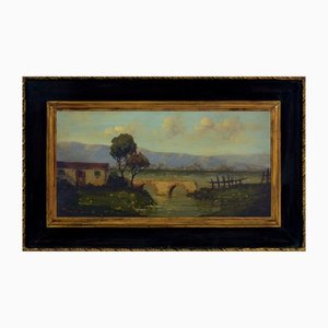 Antonio Tucci, Contryside Landscape, Oil on Canvas, Italy, 1990s, Framed