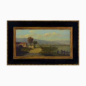 Antonio Tucci, Paesaggio di campagna, Italia, anni '90, olio su tela, con cornice