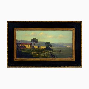 Antonio Tucci, Contryside Landscape, Italy, 1990s, Oil on Canvas, Framed