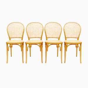 Vintage Side Chairs in Bentwood and Cane Wood, 1980s, Set of 4