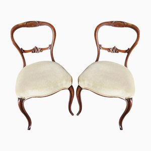 19th Century Balloon Back Dining Chairs in Walnut, Set of 2