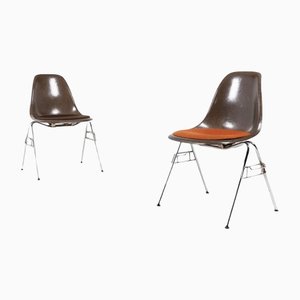 Fiberglass Chairs DSS by Charles & Ray Eames for Herman Miller, Set of 2