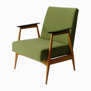Grüner Vintage Sessel aus Buche, 1960er