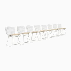 Bertoia Side Chairs by Harry Bertoia for Knoll, Set of 8