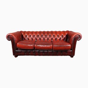 3-Seater Cowhide Leather Chesterfield Sofa