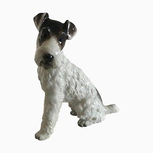 Terrier Dog Figurine in Porcelain from Rosenthal