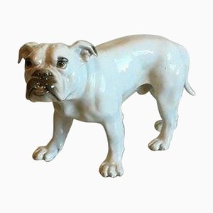 Figurine of Bulldog No 1605, Incorrect Numbered 1600 by Dahl Jensen from Bing & Grondahl