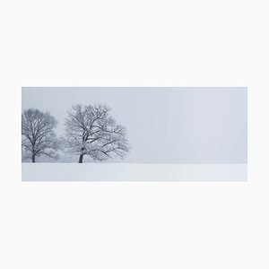 Xifotos, Snow in Beautiful Virginia Country, 21st Century, Photograph