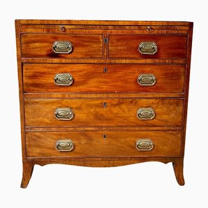 Antique Early Regency Flame Mahogany Bachelor’s Chest of Drawers, 1810s