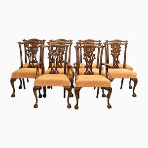 Chaises de Salle à Manger Chippendale Gothiques en Acajou, 1890, Set de 10