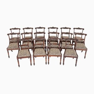William IV Dining Chairs in Mahogany, Set of 16