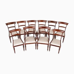 Regency Dining Chairs in Mahogany, Set of 10