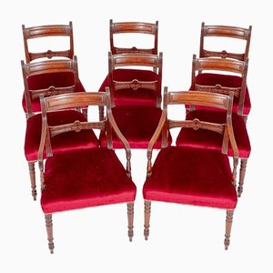 Regency Dining Chairs in Mahogany, Set of 8
