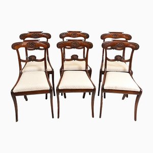 Regency Esszimmerstühle aus Palisander, 1810, 6er Set
