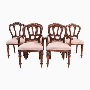 Victorian Dining Chairs in Mahogany with Balloon Back, Set of 6