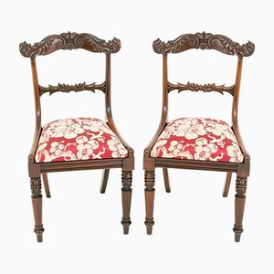 Antique Regency Dining Chairs in Rosewood, Set of 2