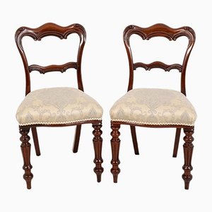 Antique William IV Chairs in Mahogany, Set of 2