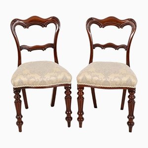 Chaises William IV Antiques en Acajou, Set de 2