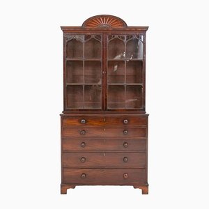 Regency Mahogany Cabinet