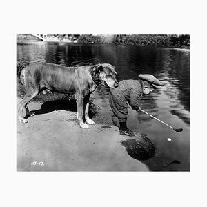 Archivo Hulton, perro útil, 1923, papel fotográfico