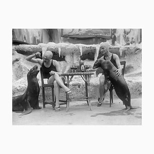 Fox Photos/Getty Images, Animal Friends, 1931, Papier Photographique