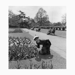 Bert Hardy, Audrey Hepburn, 1950, Papier Photographique