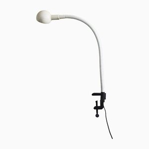 Flexible Lamp Hebi Design Isao Hosoe by Valenti