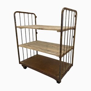 Vintage Industrial Iron and Wood Shelves on Wheels