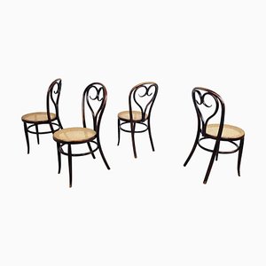Bentwood Dining Chairs in the Style of Thonet, 1920s, Set of 4