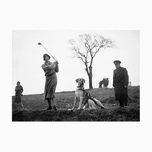 Fox Photos/Getty Images, Canine Caddie, 1931, Black & White Photograph