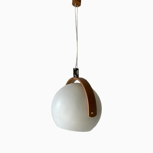 Space Age Plastic and Bent Wood Pendant Lamp from Temde, Switzerland, 1970s