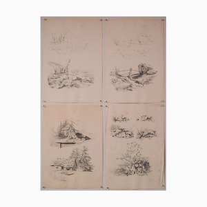Studies of Nature, 20th-Century, Pencil on Paper, Set of 11