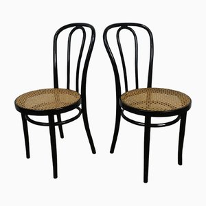 Viennese Coffee House Chairs No. 18 by ZPM Radomsko, Set of 2