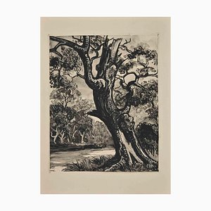 Georges-Henri Tribout, The Tree, Original Etching, Mid-20th-Century
