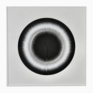 Michael Scheers, The Black Eye, olio su tela, con cornice